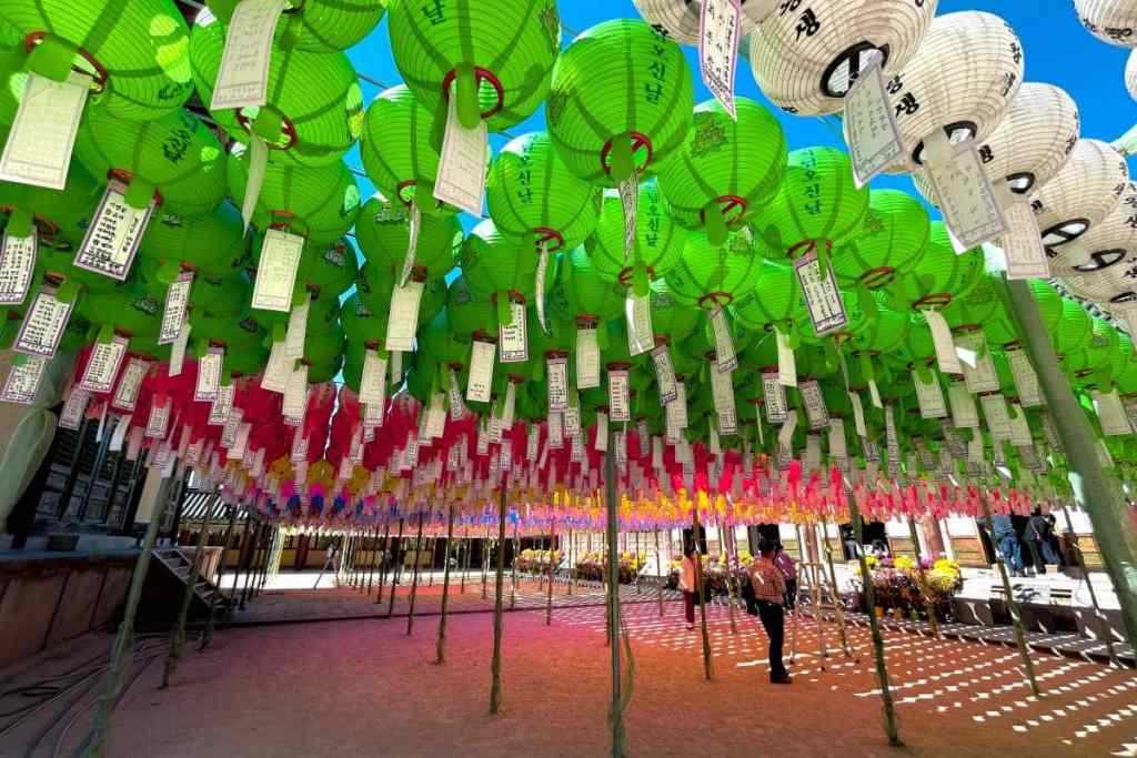 temple lanterns in gyeongju