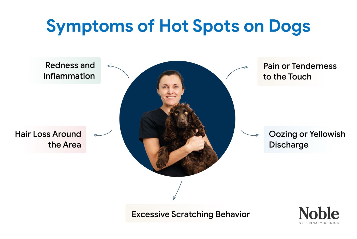 An infographic showing the signs of hot spots in dogs.