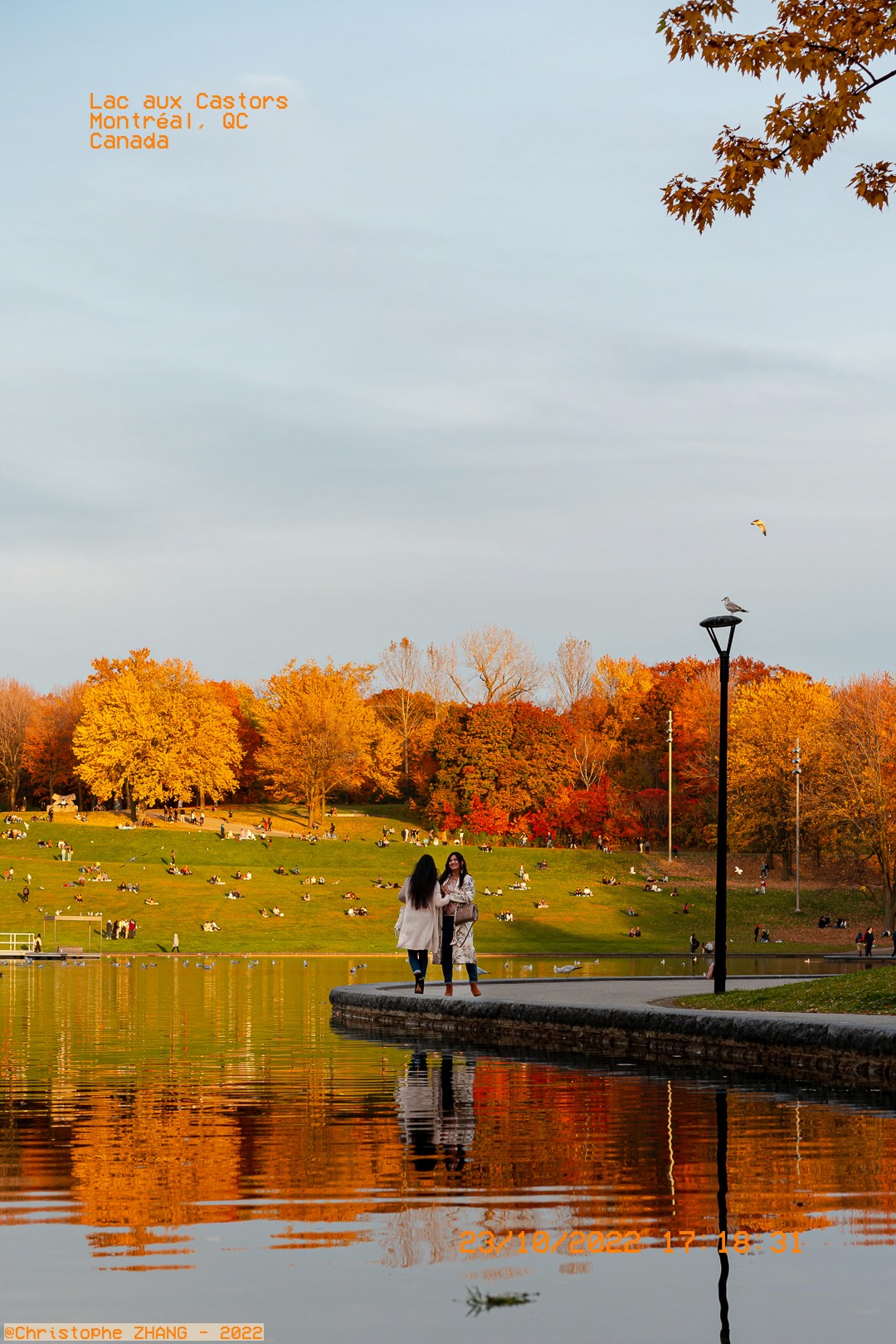Scène automnale au Lac aux Castors avec des arbres aux couleurs vives.