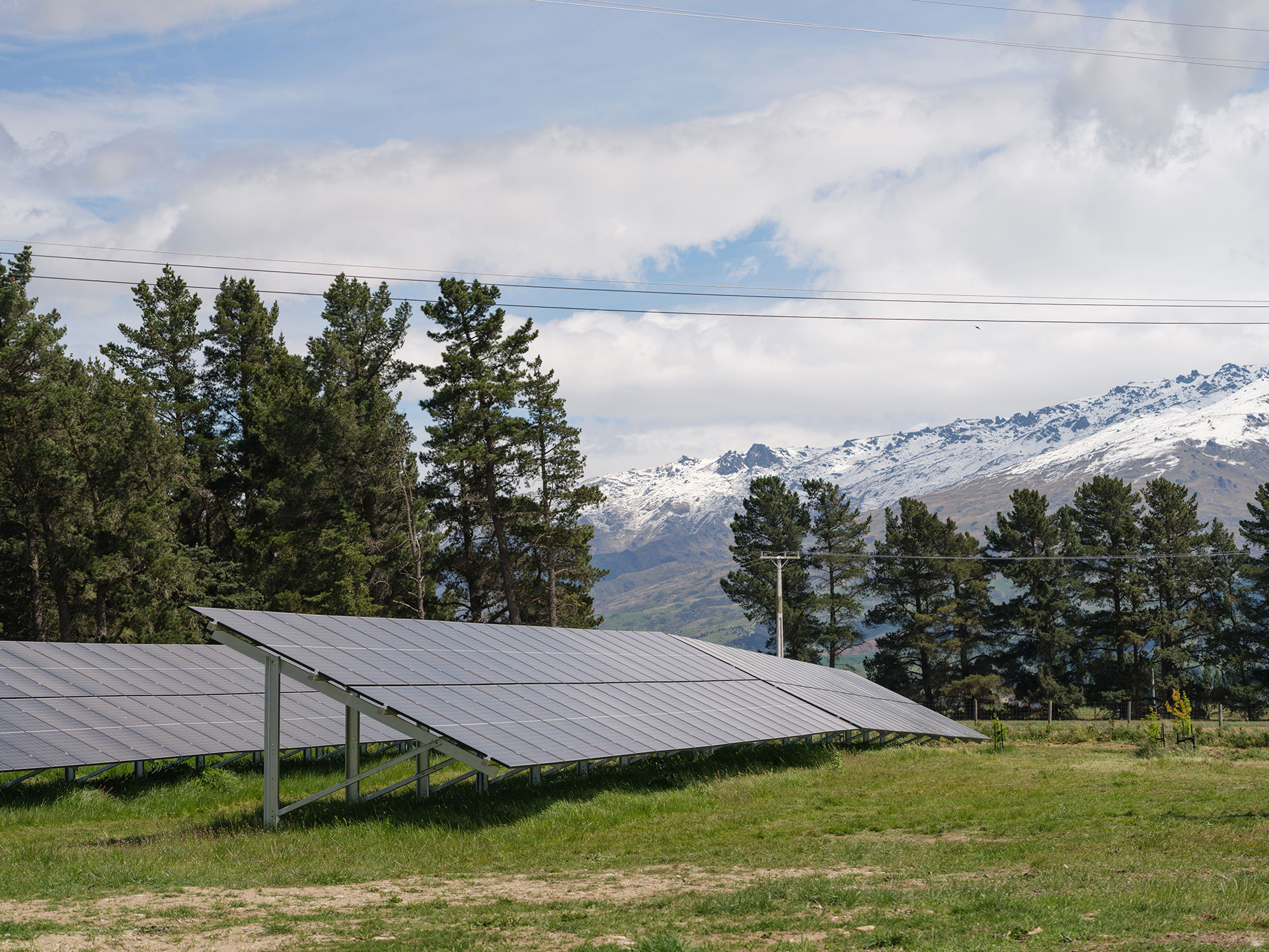 Alpine Pastures Group