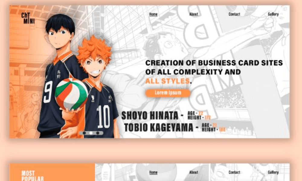 Organic Shopify Brand in the Anime Niche