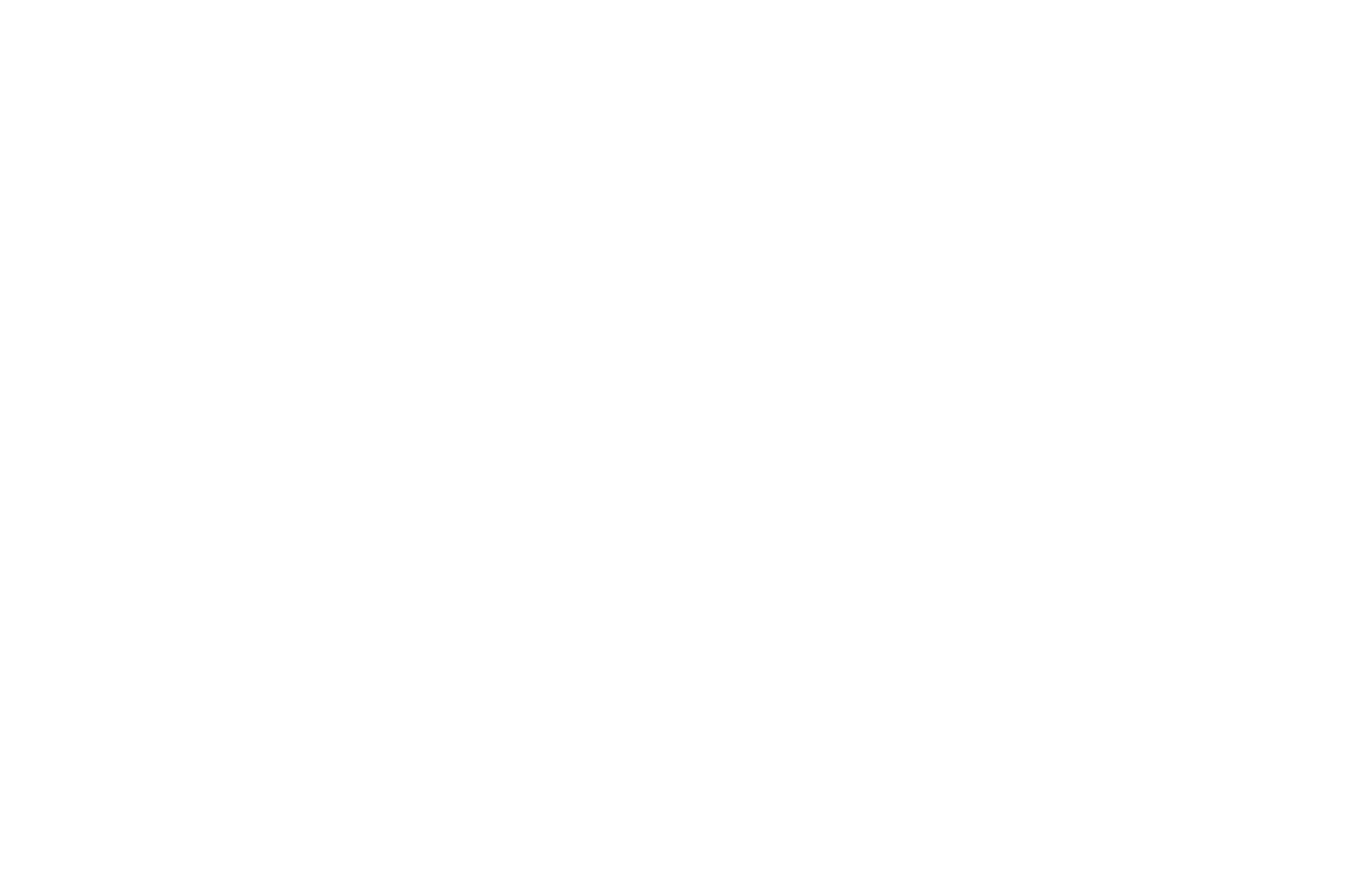 Bolt Logo
