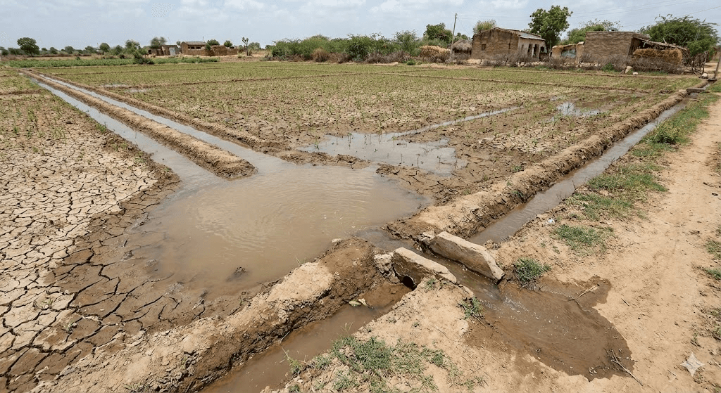 Retail Footfall by KenVision