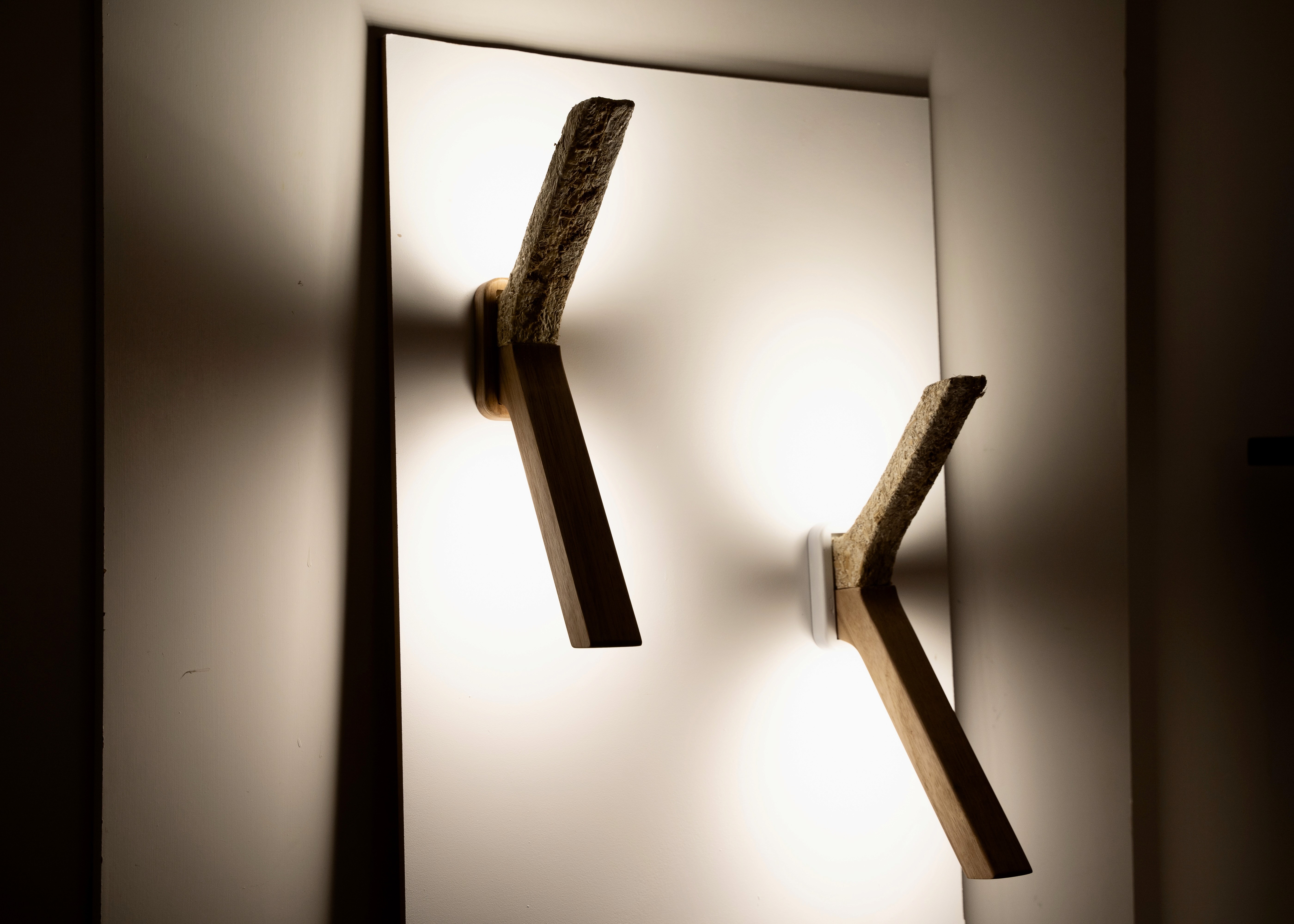 Project showcase laptop mockup