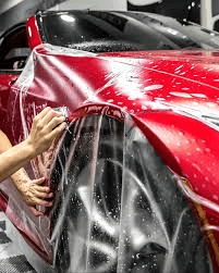 Close-up of a dark green leaf showing its textured surface and central vein against a muted background.