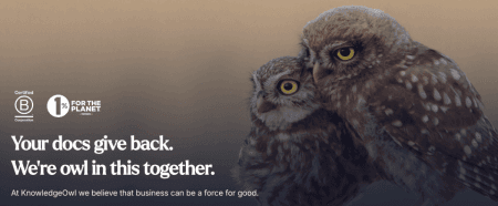 Image of 2 owls