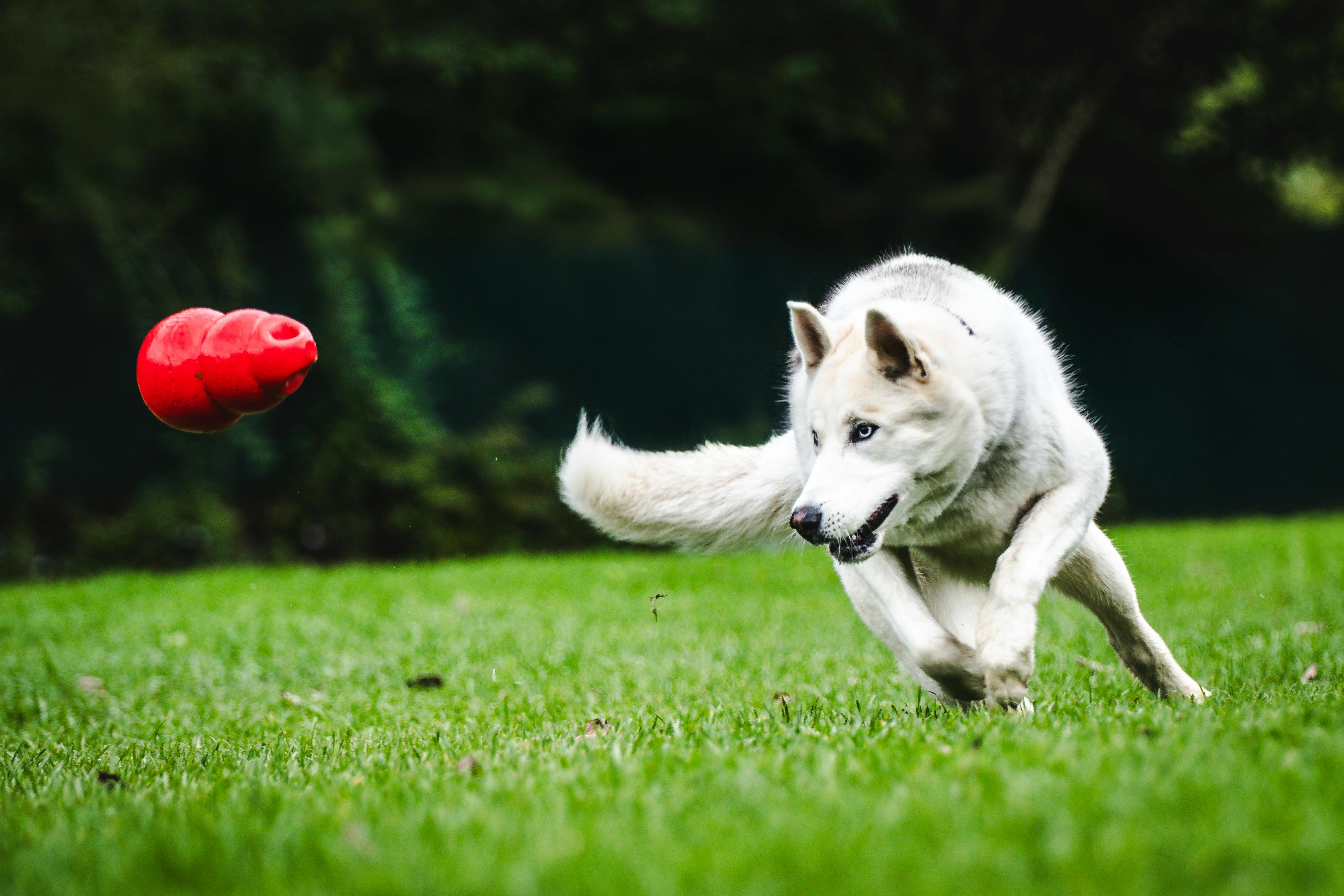 Close-up of beige and taupe-colored Slate Stride sneakers with dynamic curved sole design, worn with white socks and tan trousers, placed on a neutral-toned background.