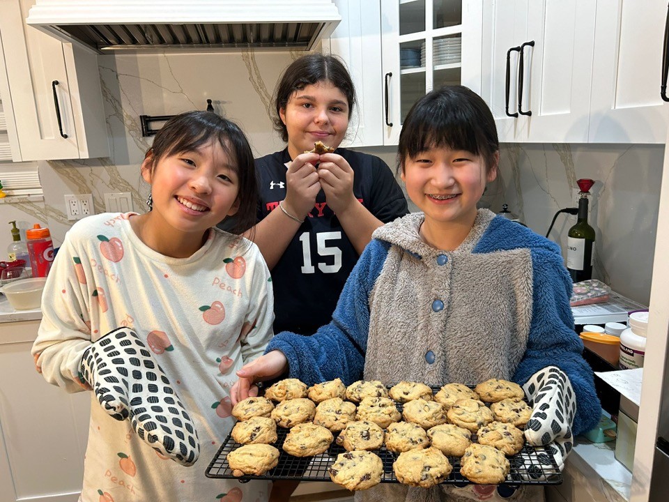 an aerial view of a city with mountains in the background