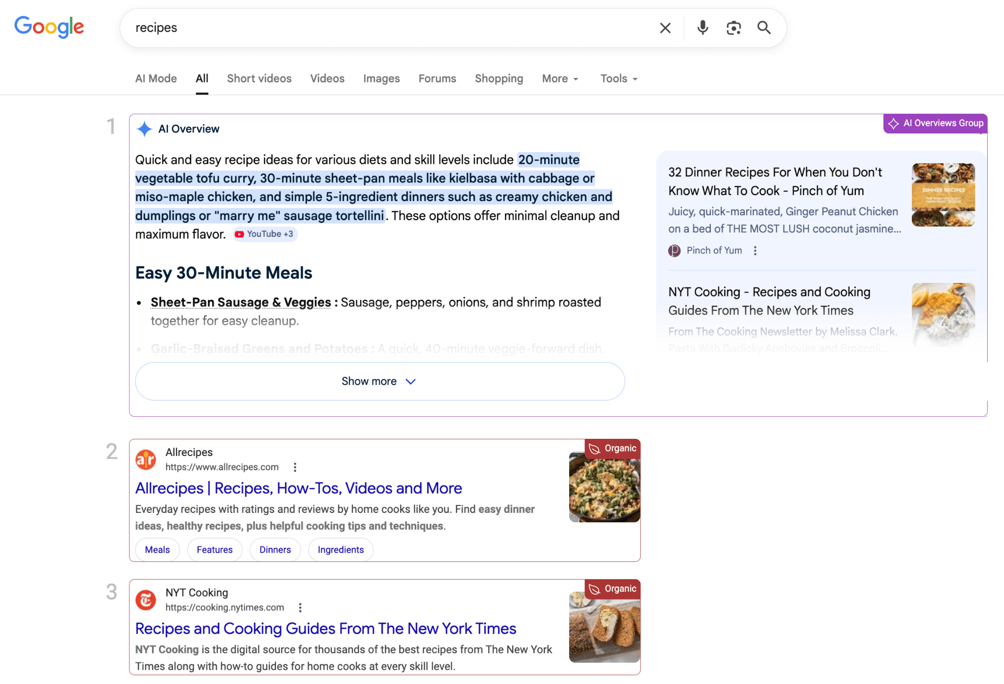 google-ai-overview-serp-example