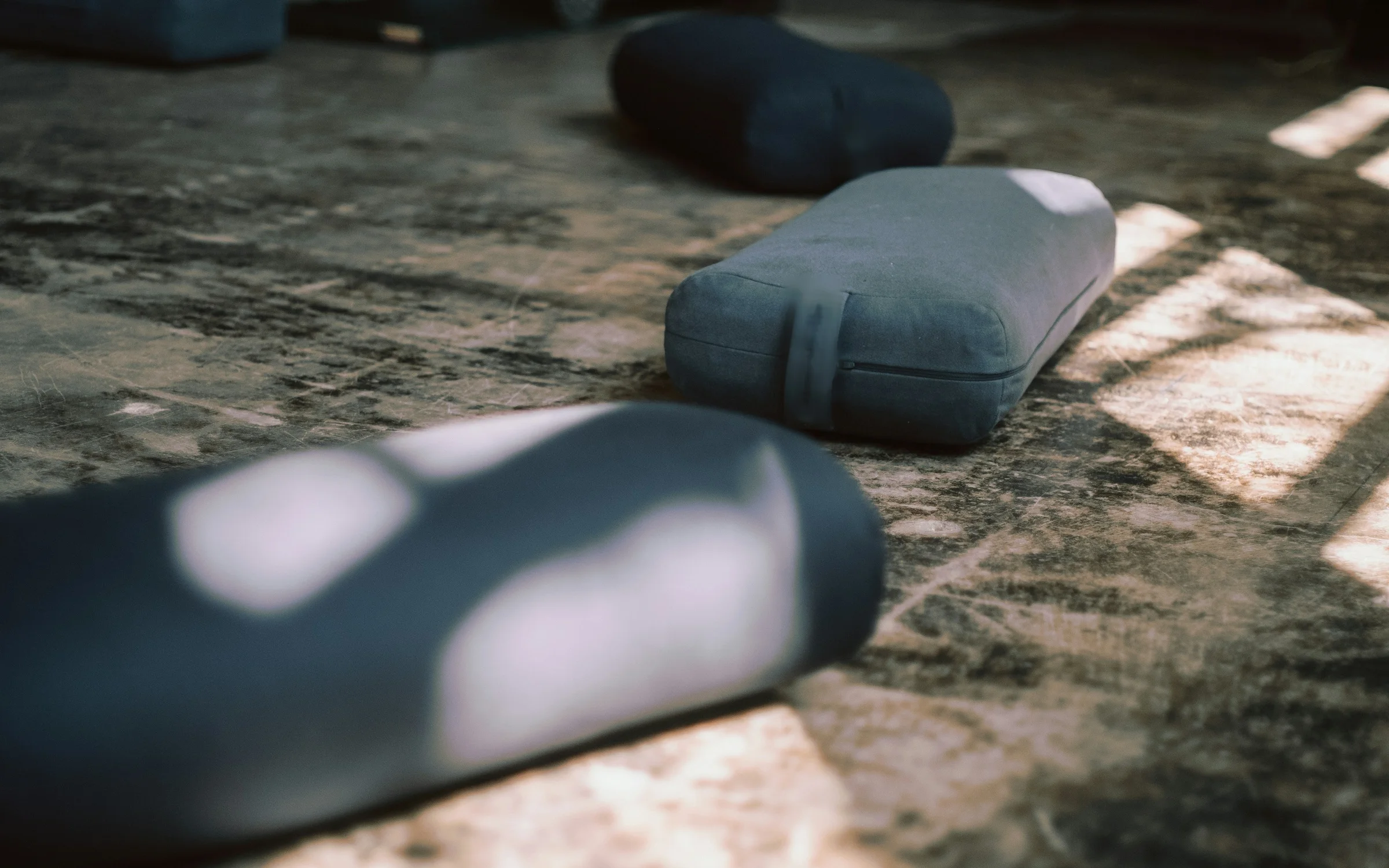 Wellness Studios industry: digital products by Alpha Expansion