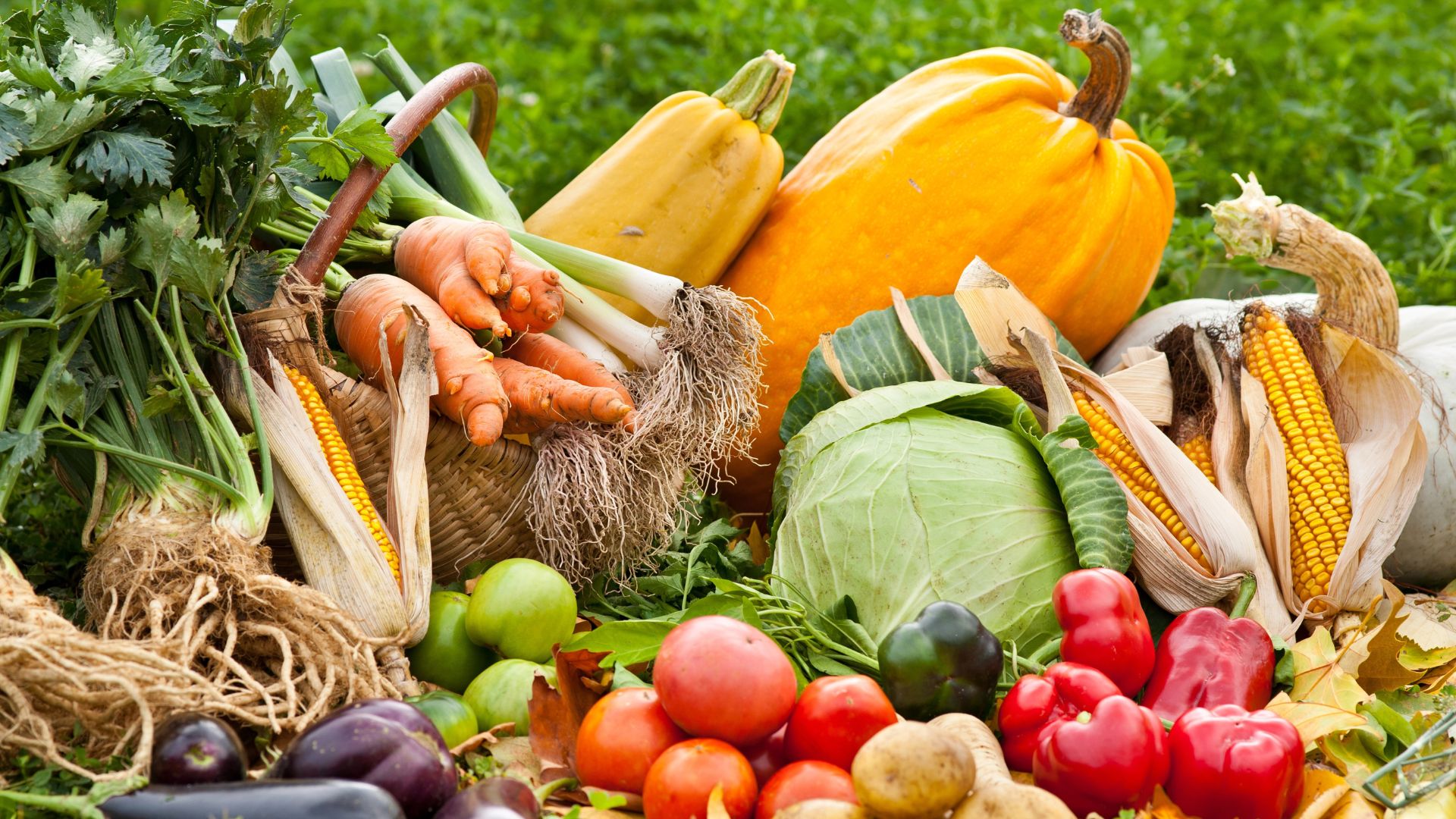 Picture of Vegitables