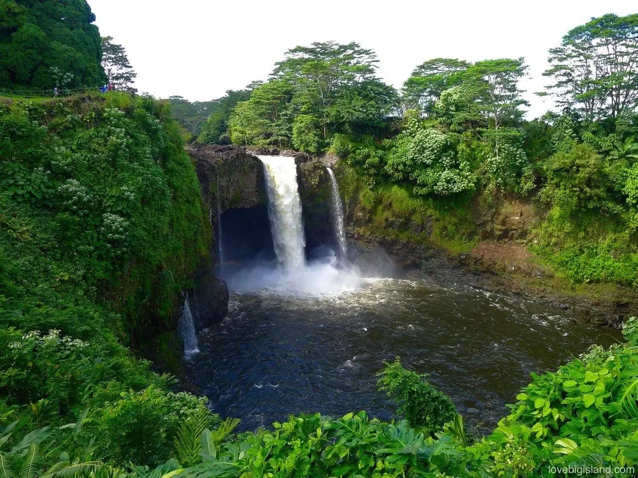 Waterfalls of Hilo