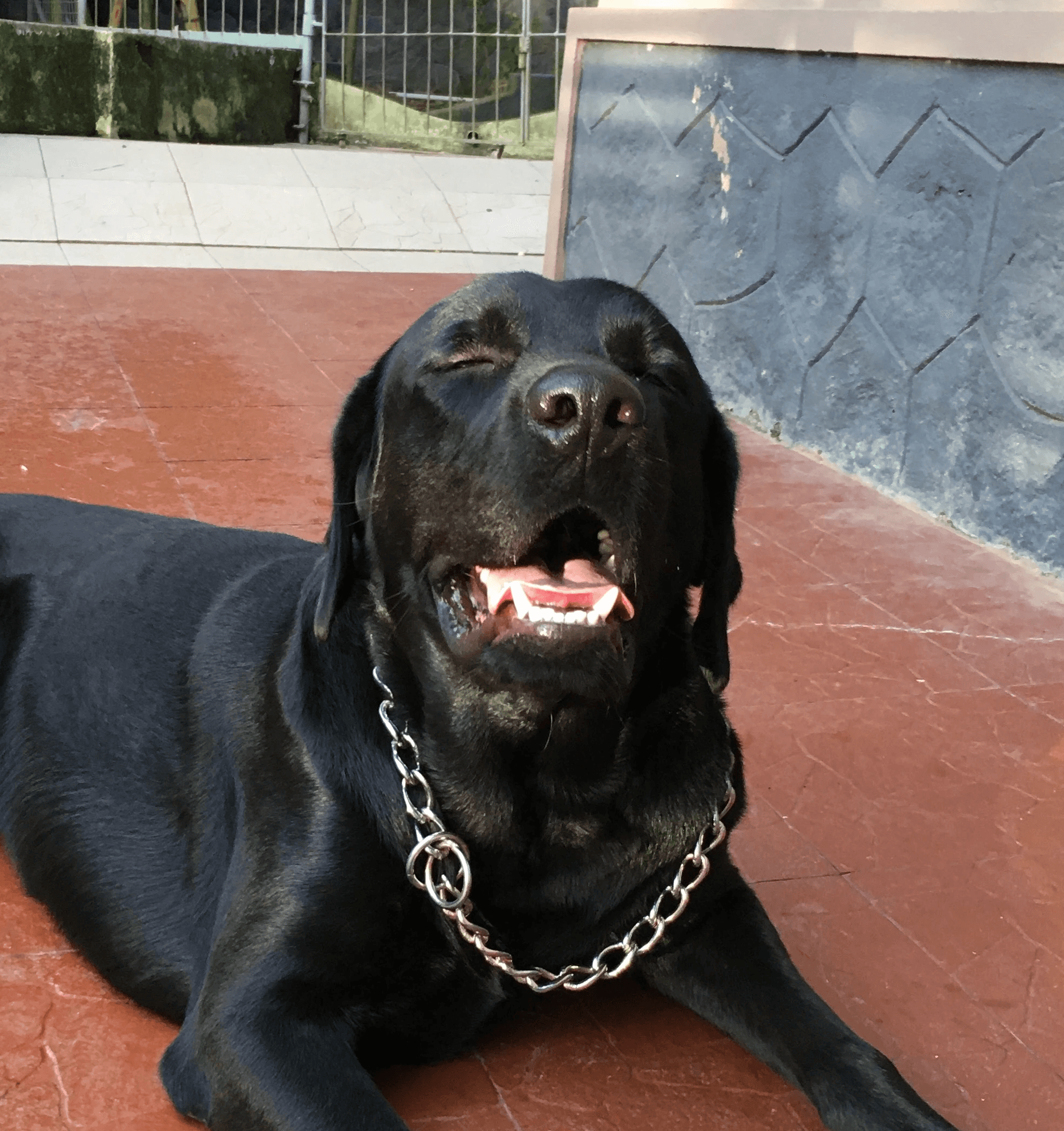 Photo of Happy