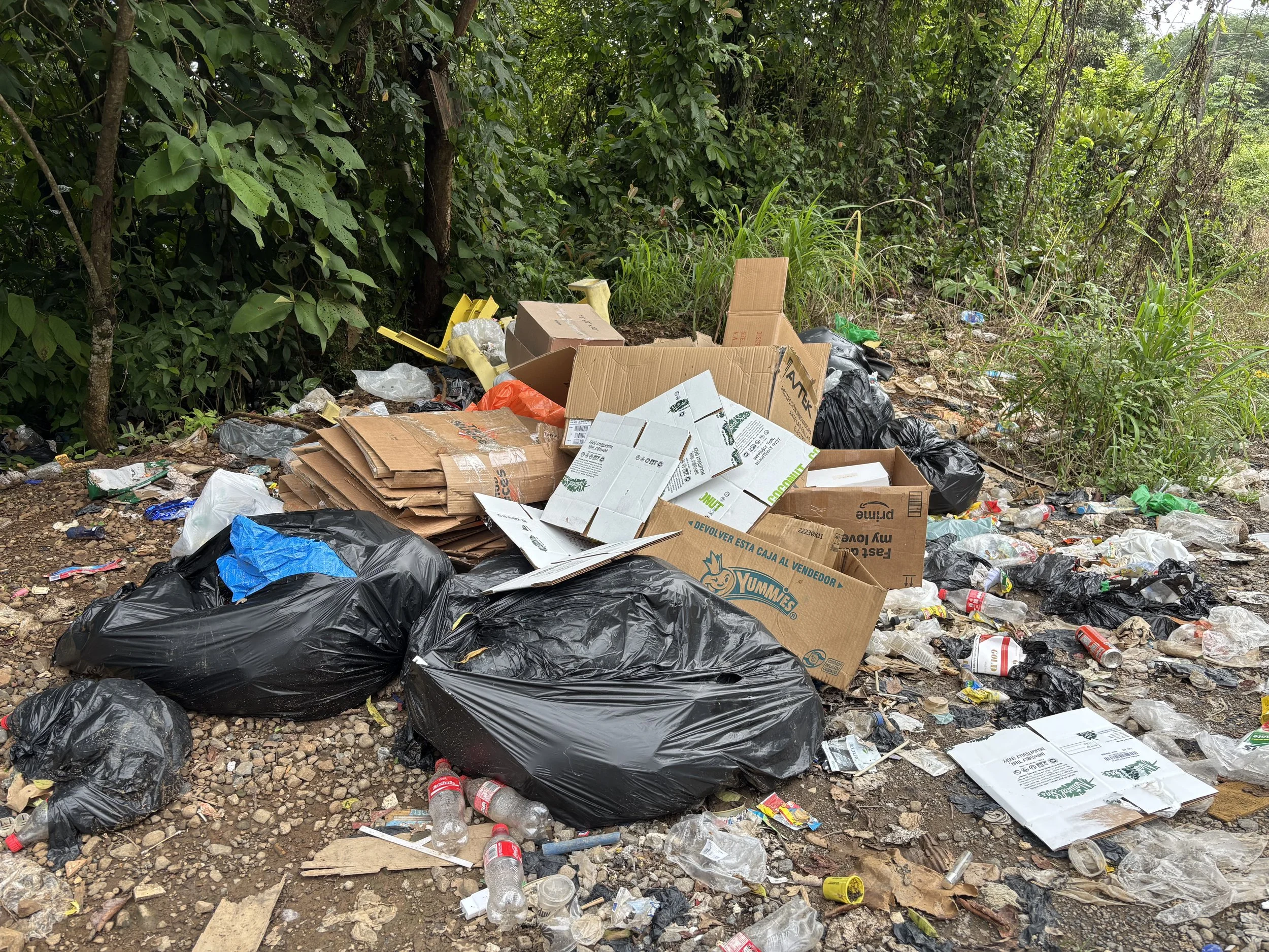 a black and white living room with a large tv