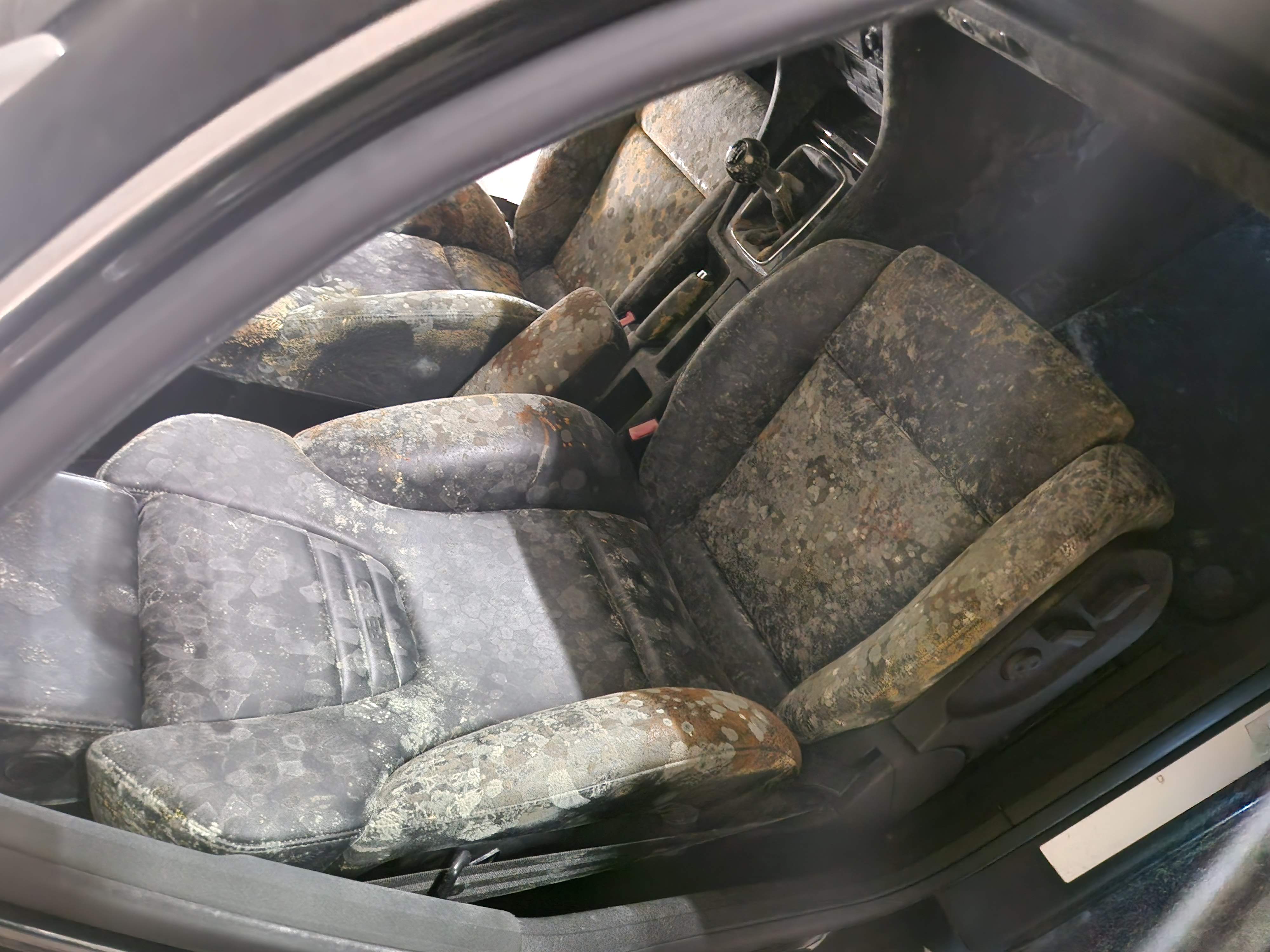 Behandlung von Schimmel und muffigem Geruch im Auto in Zürich