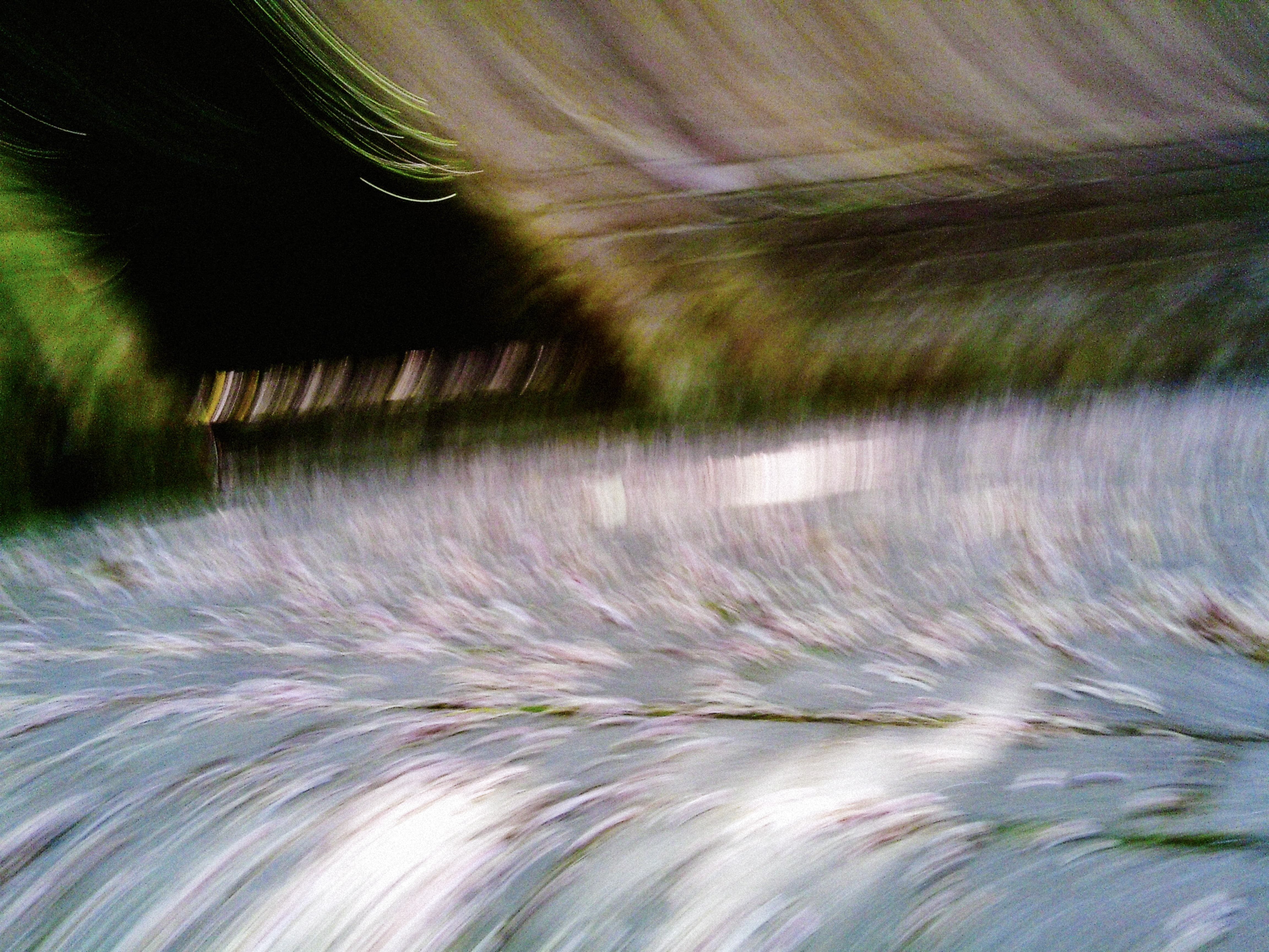 Camera movement creates horizontal streaks blending dark tree canopy with pale path below