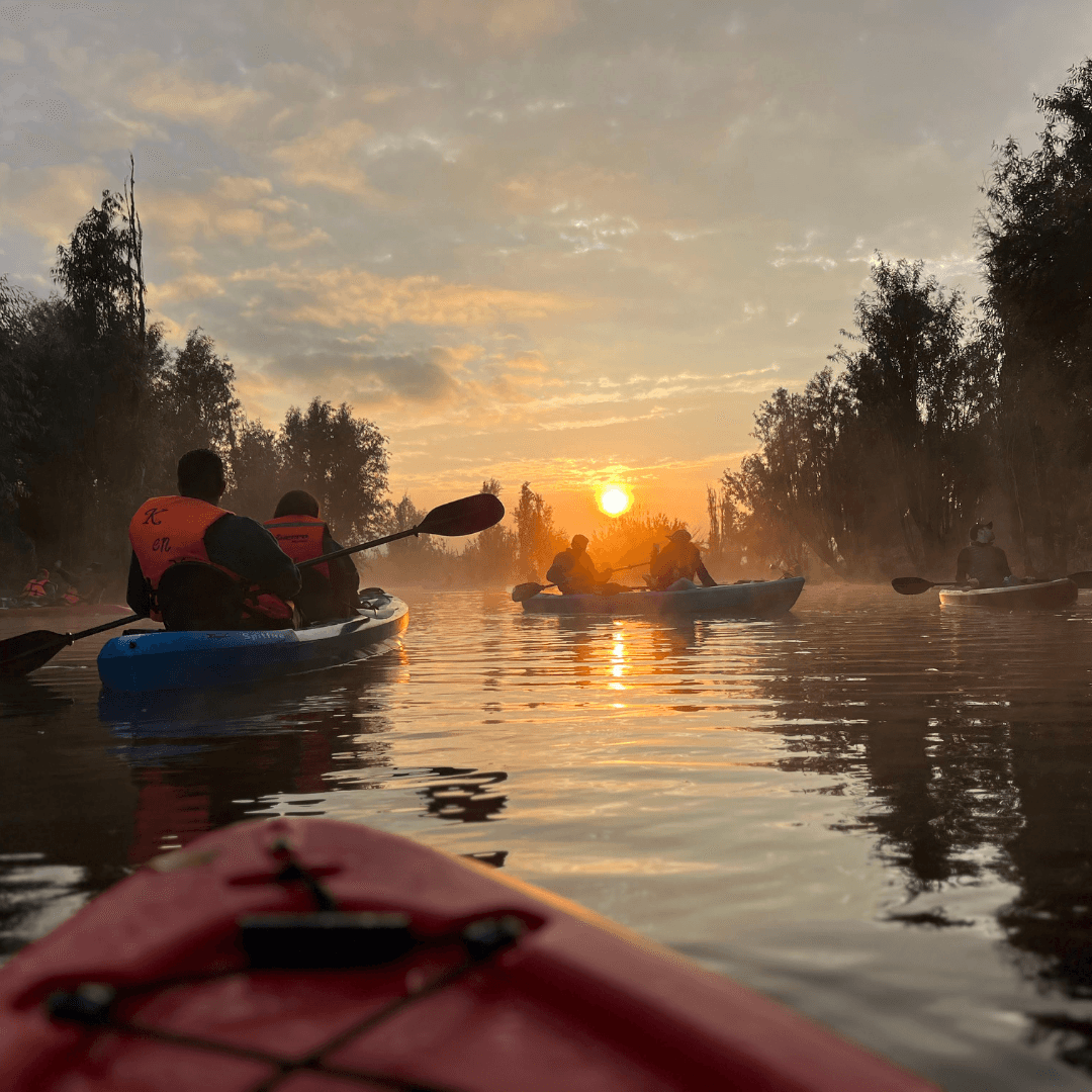 Kayak en Xochimilco 1