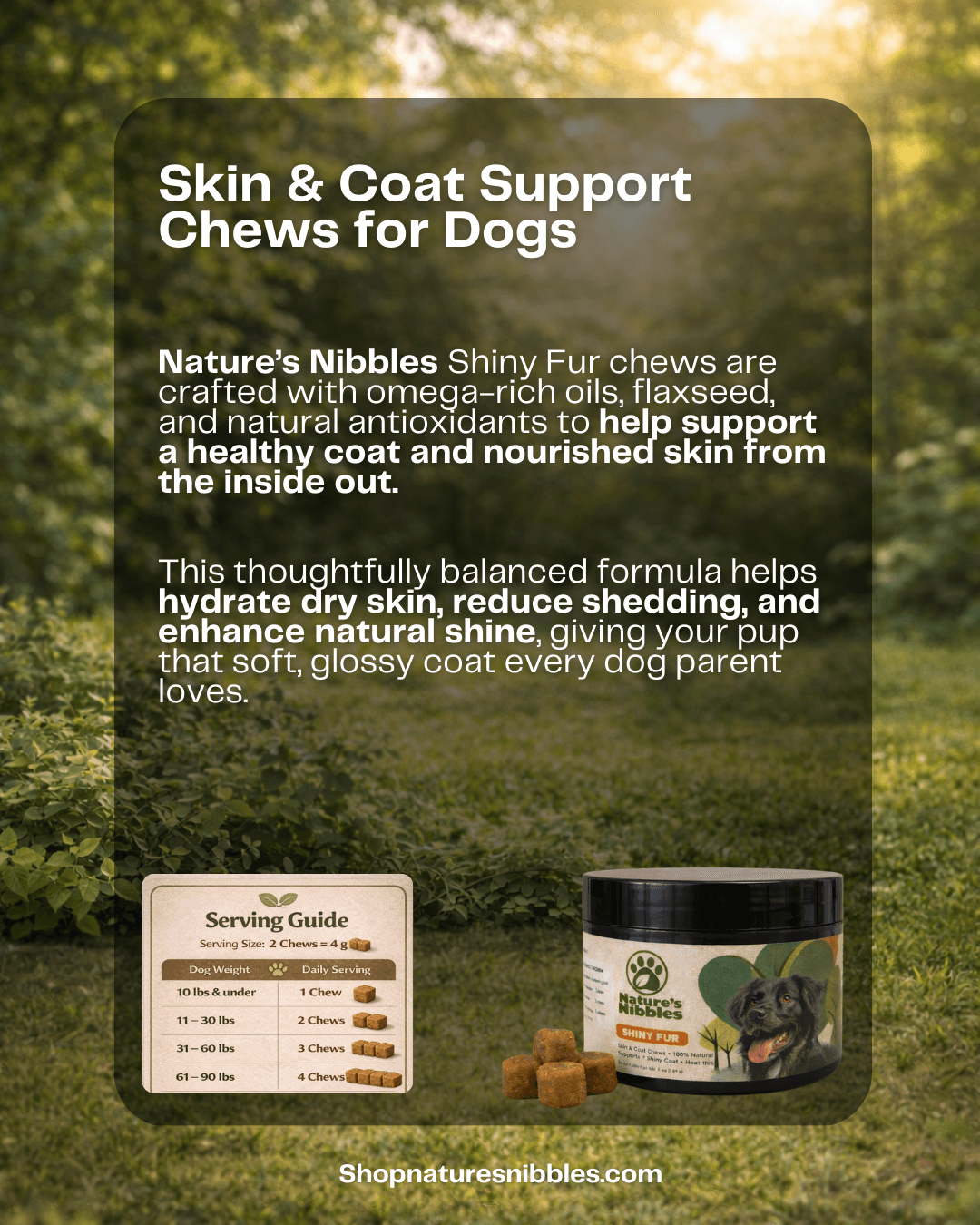 shiny fur dog sitting