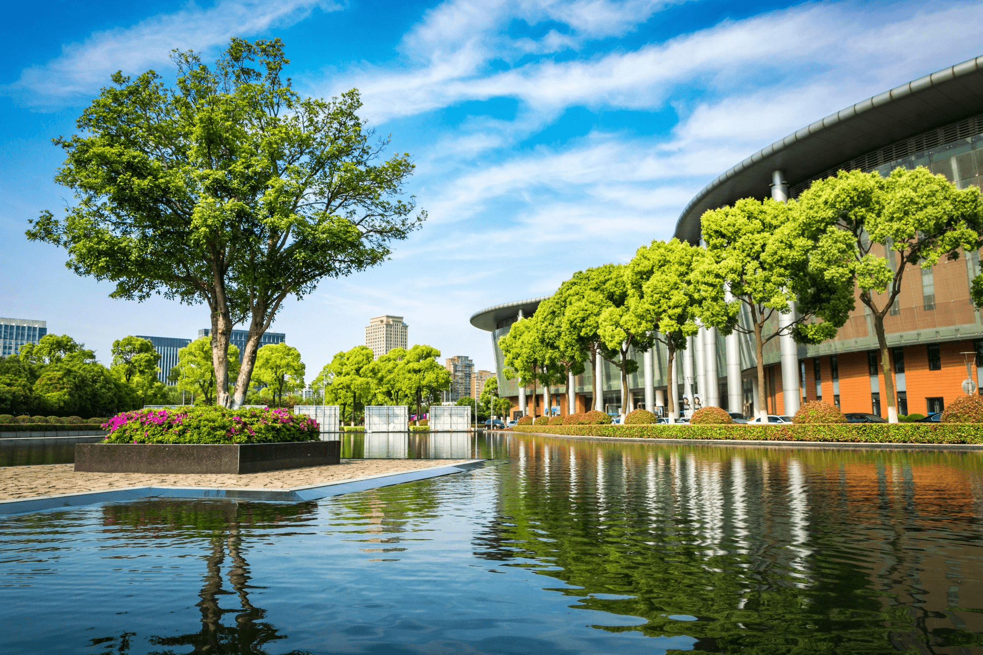  serene pond surrounded by trees, with a building visible in the background under a clear sky.