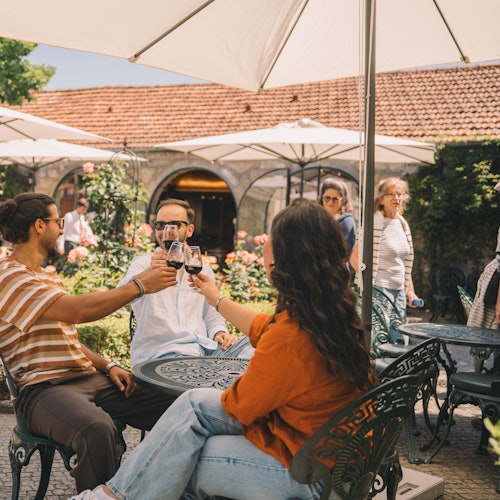 Degustação do Taylor