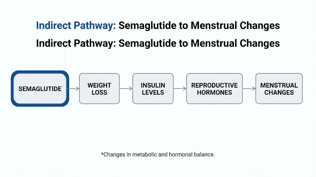 How semaglutide indirectly affects the menstrual cycle through metabolic pathways