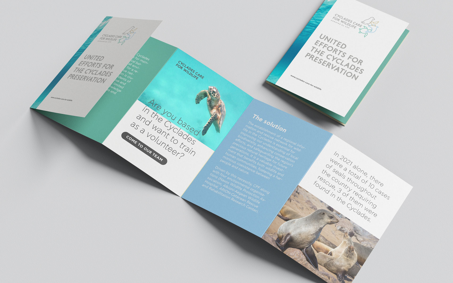 Printed brochure design for Cyclades Care for Wildlife, combining structured information with imagery and text