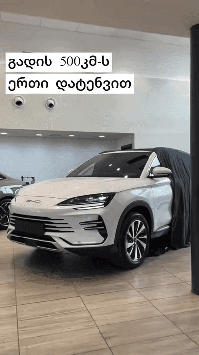 გაიცანი BYD-ის გამორჩეული მოდელი