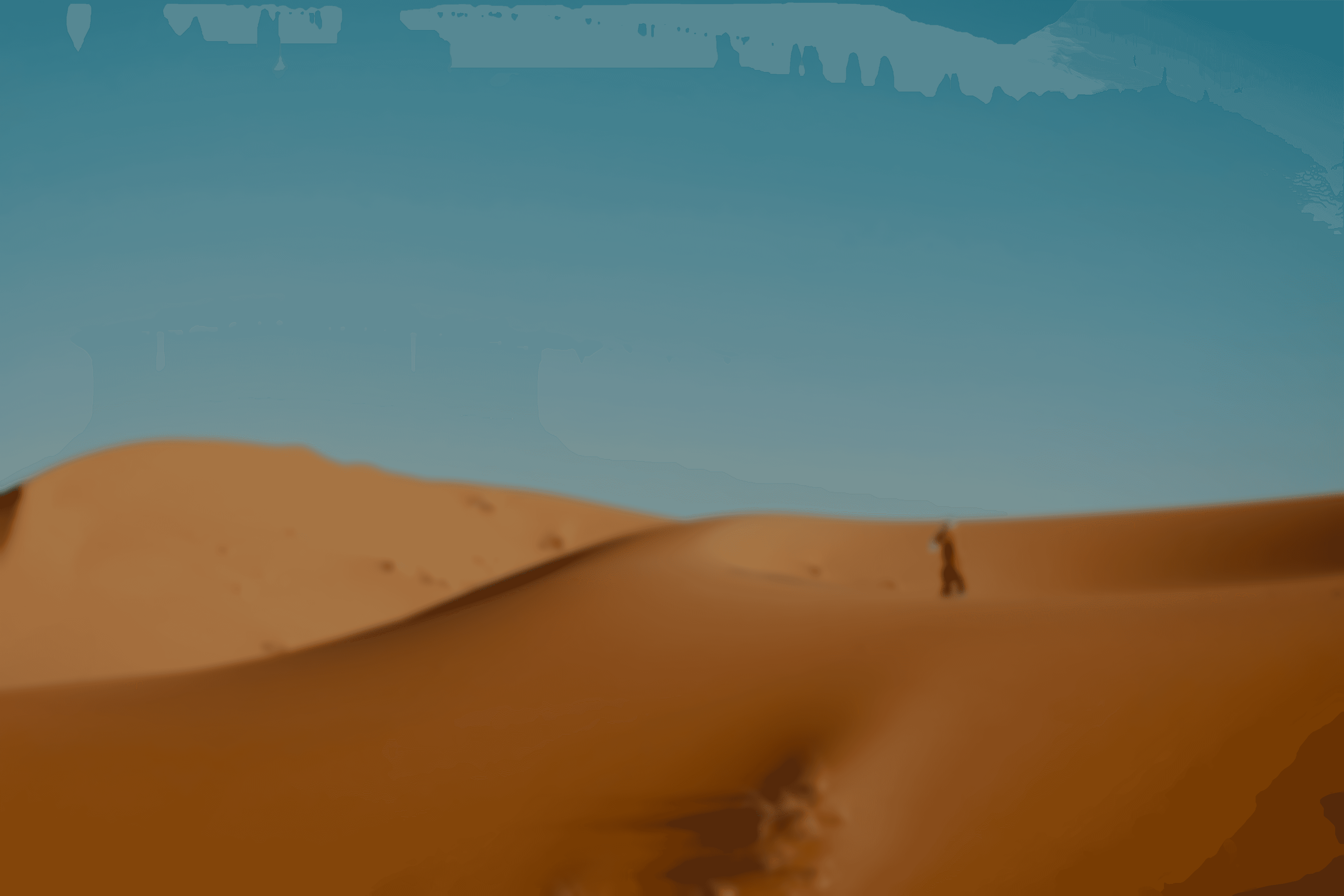 a person standing in the middle of a desert