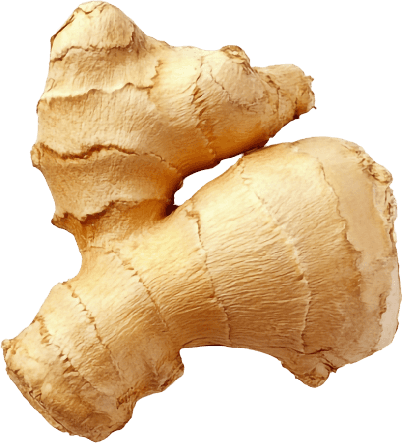 ginger_1