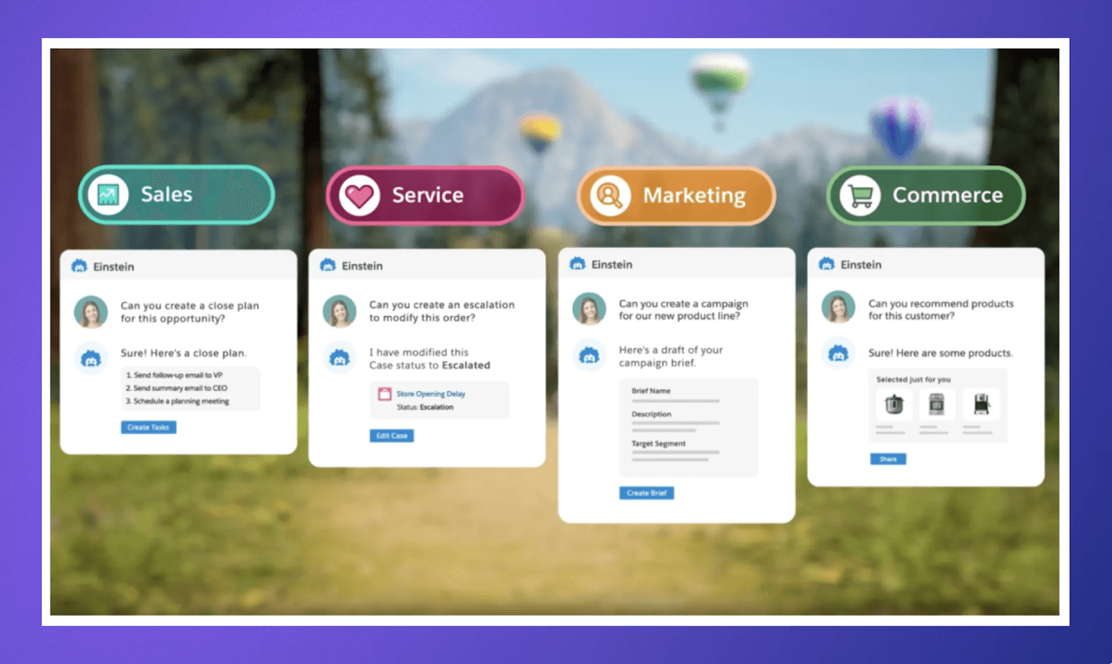 Salesforce Features