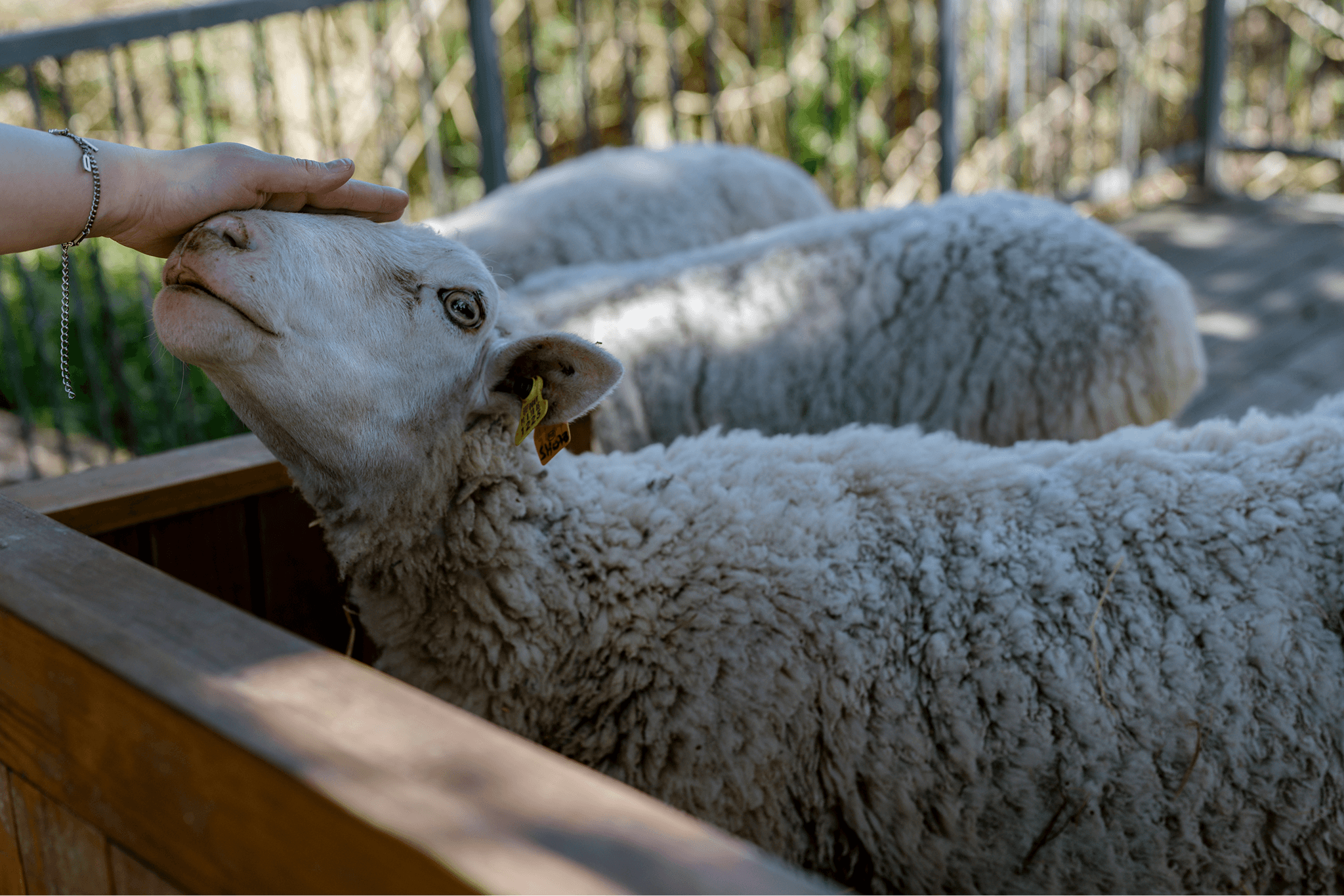 Custom furniture design