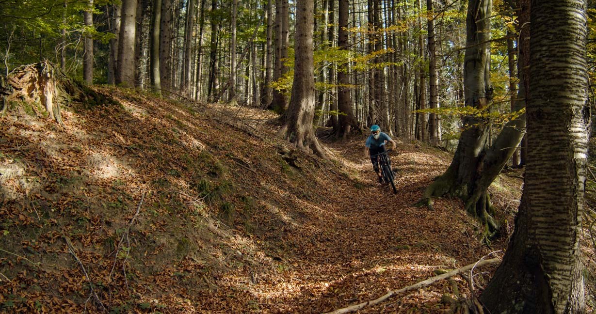 Trail through an autumn-coloured beech forest — September and October deliver the most colourful backdrop of the year in this region