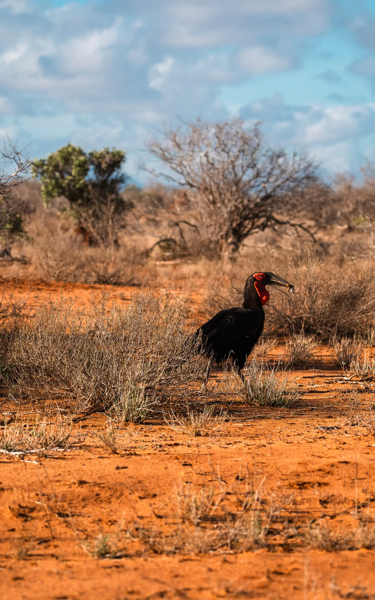 Usahili Tour in Kenya