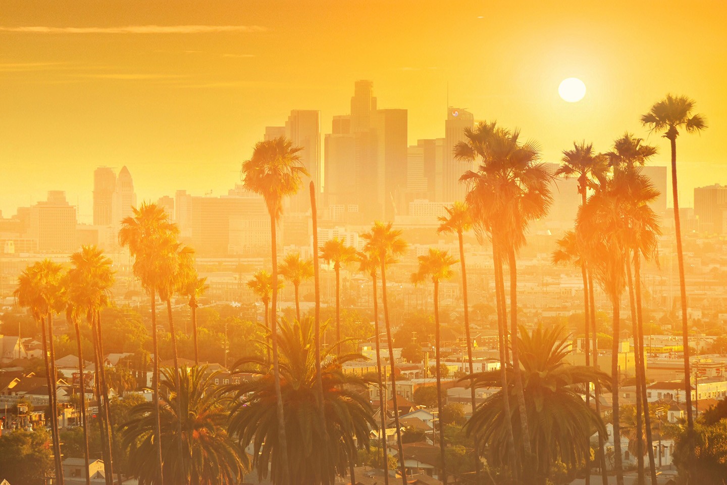 Los Angeles Real Estate Appraiser - ValuationProfessional.com