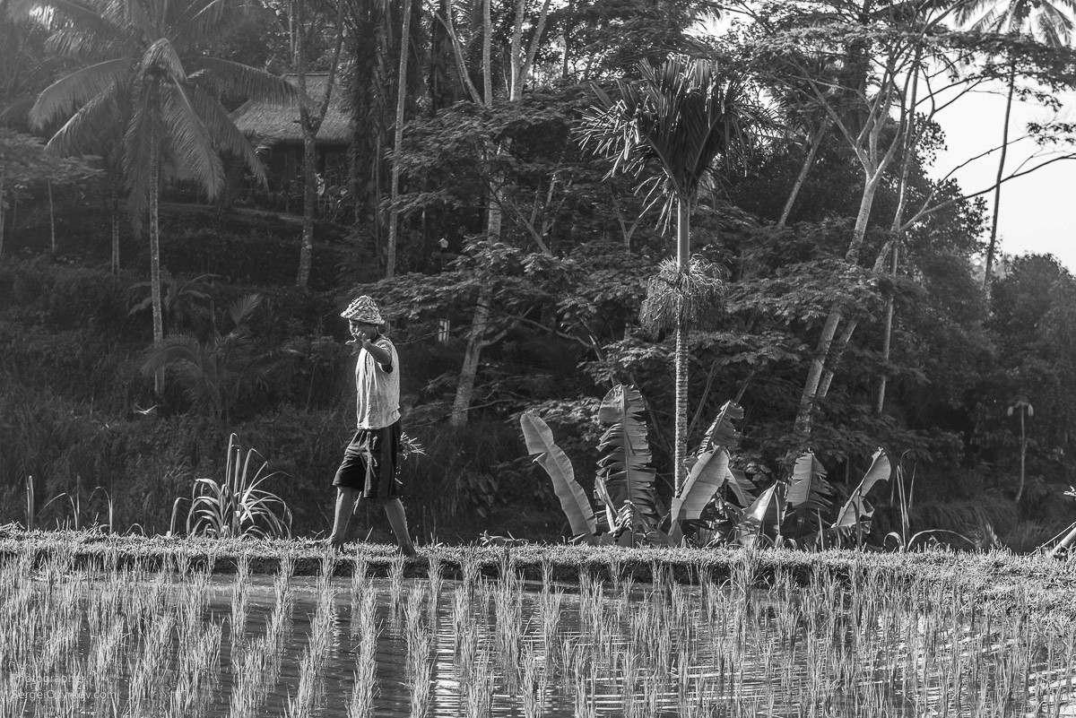 Bali by Sergei Chyrkov. Бали, фотограф Сергей Чирков