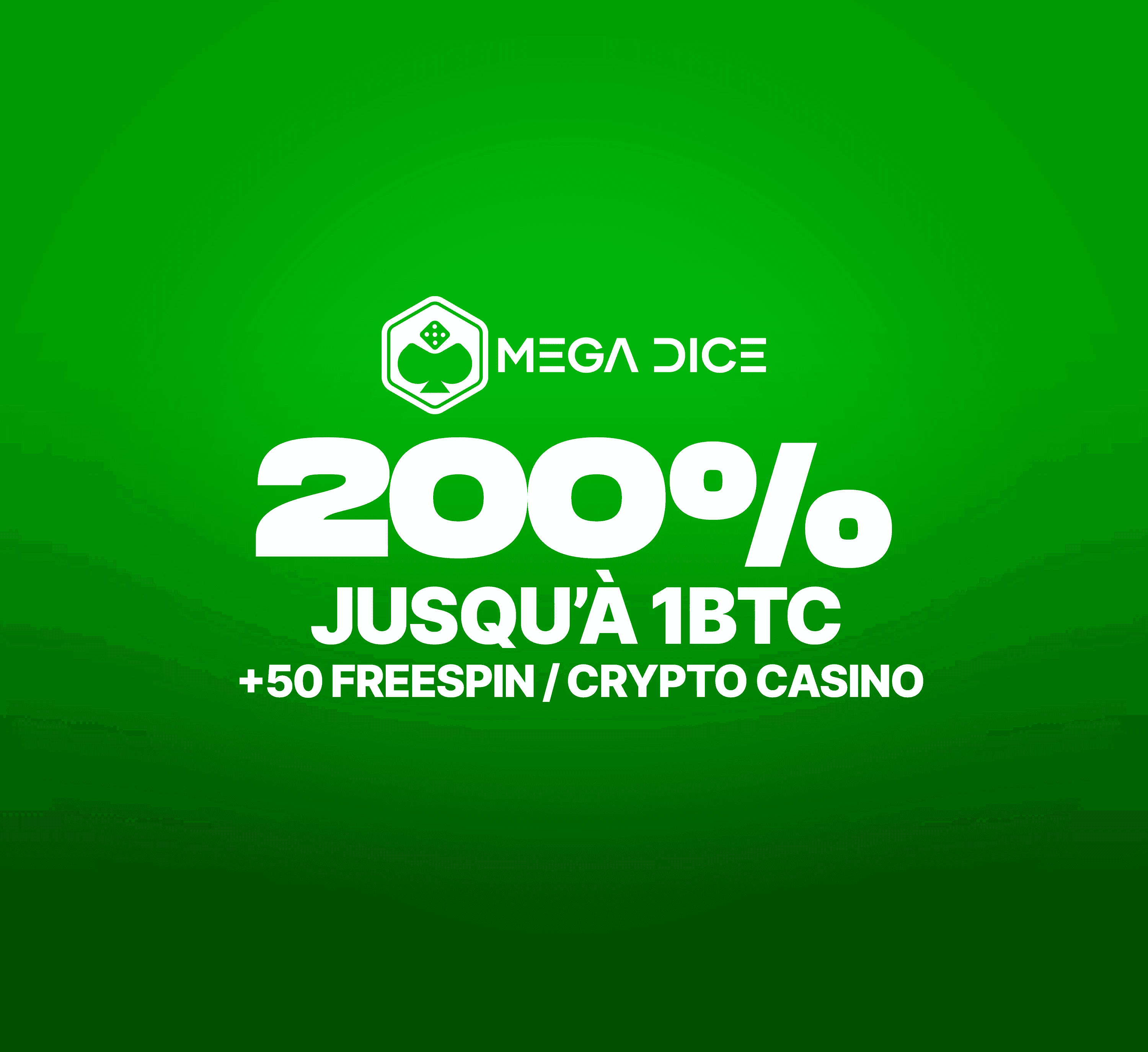 Offre Casino Night, 100% jusqu'à 300€ et 250 free spins sur Wild Hike.
