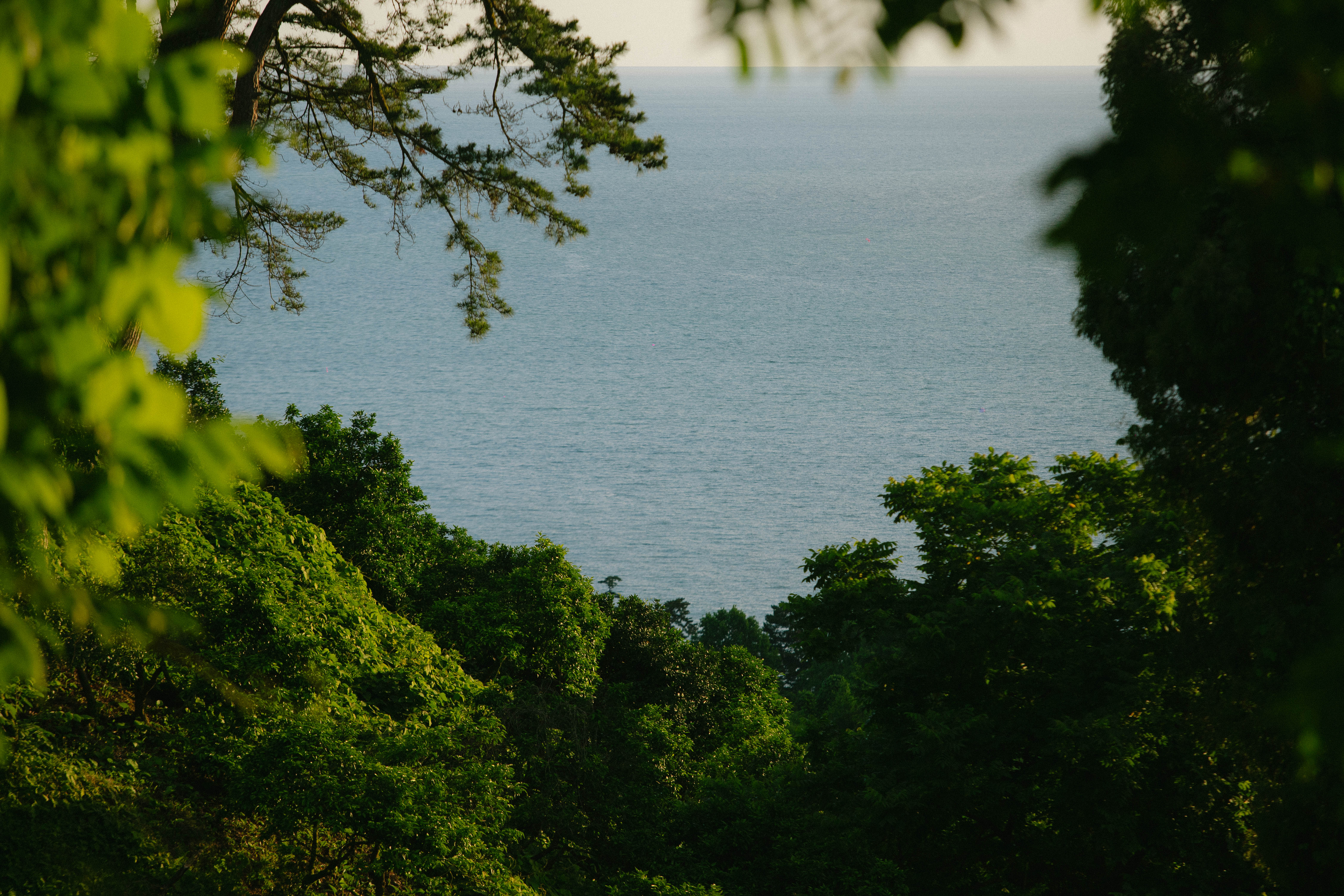 Buknari Building process