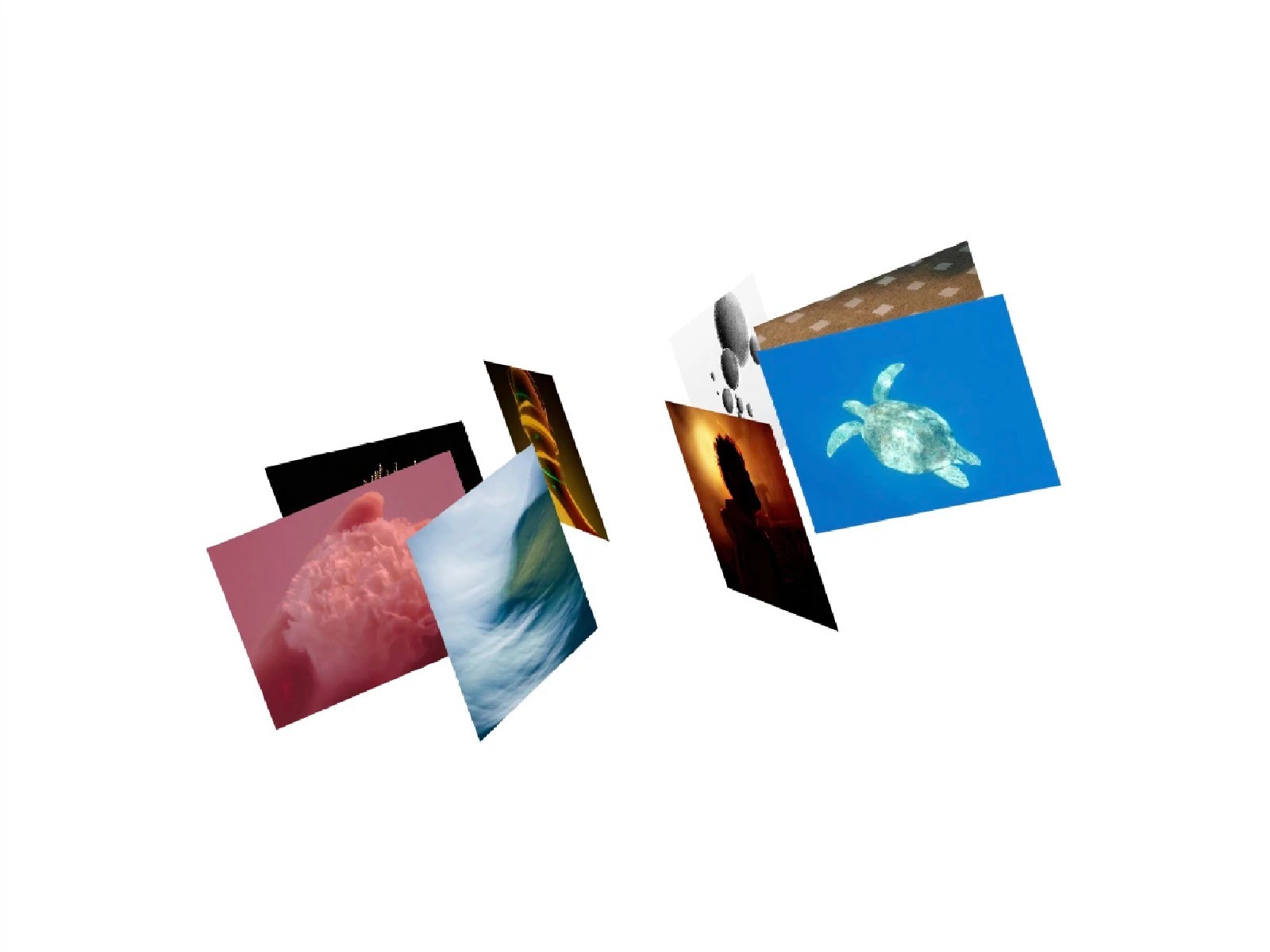 GSAP 3D Radial Gallery - Framer Component