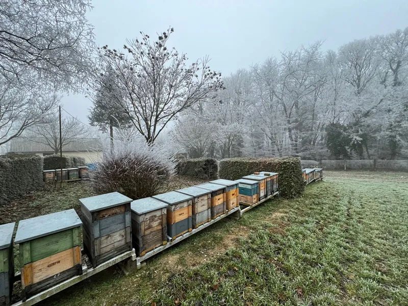 Téli táj a Bazsó Méhészet udvarán