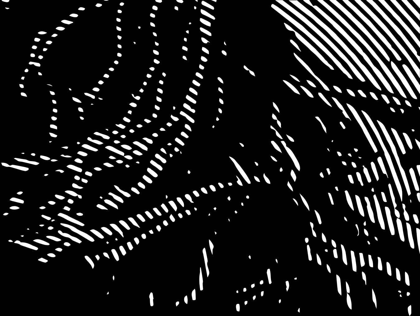 liquidity provision - Solid and reliable markets