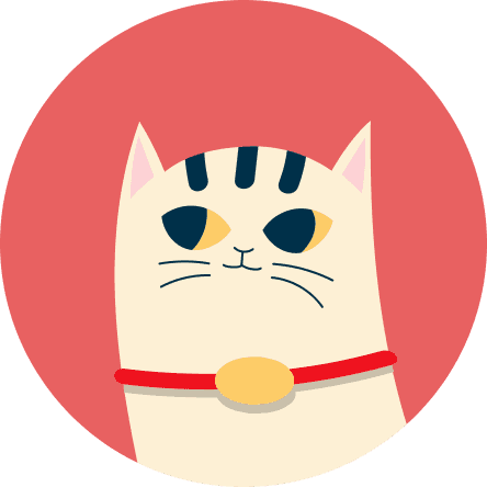 Illustration of the cat with colorful background