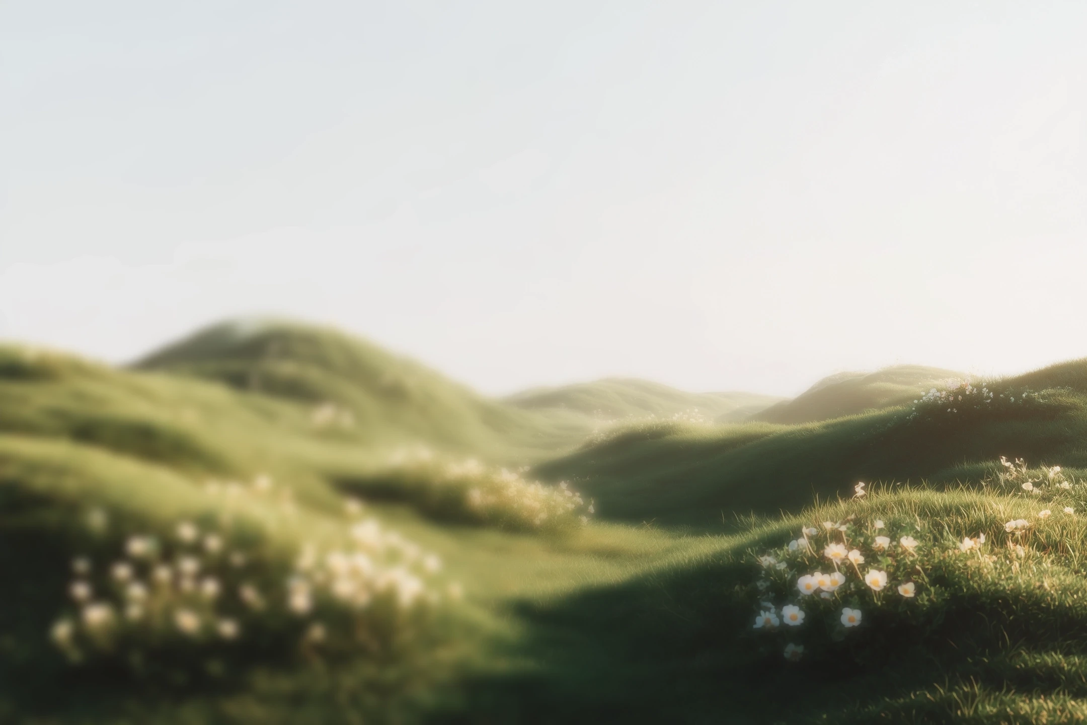 Lush green hills with patches of white flowers at sunset and clear sky.