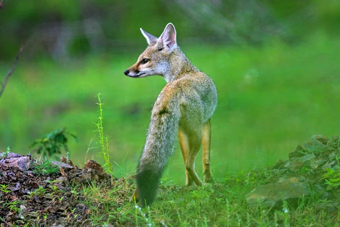 Water Treatment Plant