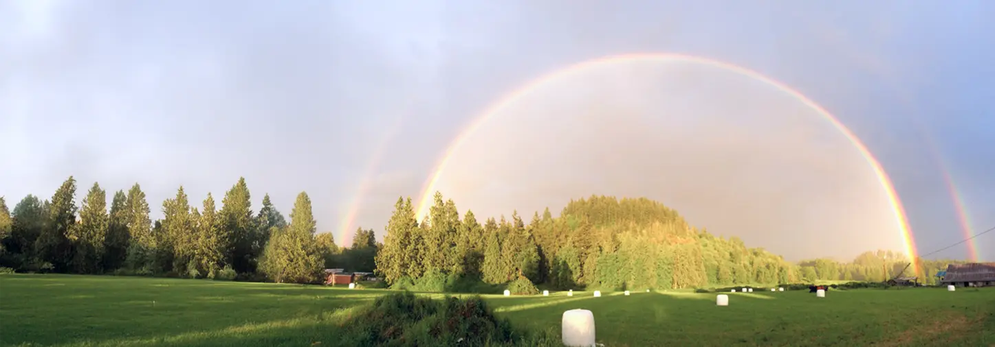 Rainbow arching over open green fields and trees.