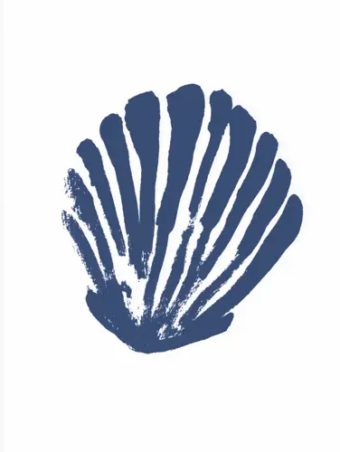 Blue scallop shell illustration