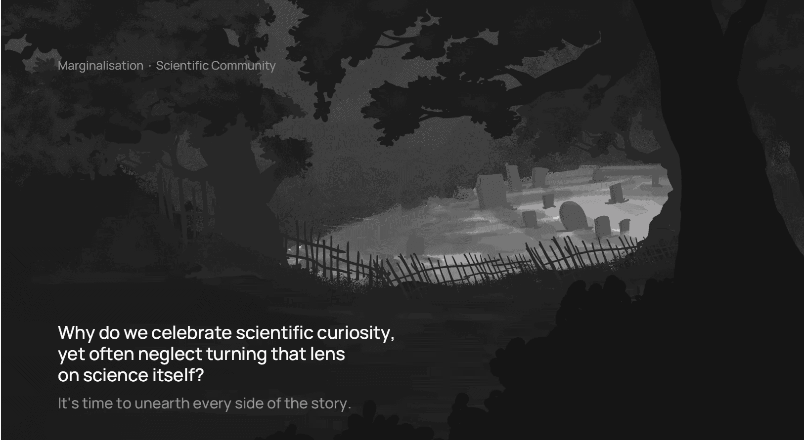The image featured in the middle of the about us page