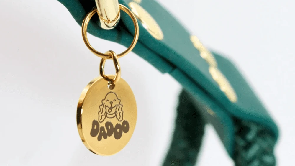 Création de l'identité visuelle et illustrations de chiens pour Dadoo, marque artisanale d'accessoires canins en biothane