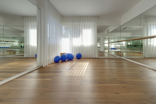 Pavimento-in-legno-palestra-svizzera (Canton Ticino) Galimberti-IMG_1935.jpg
