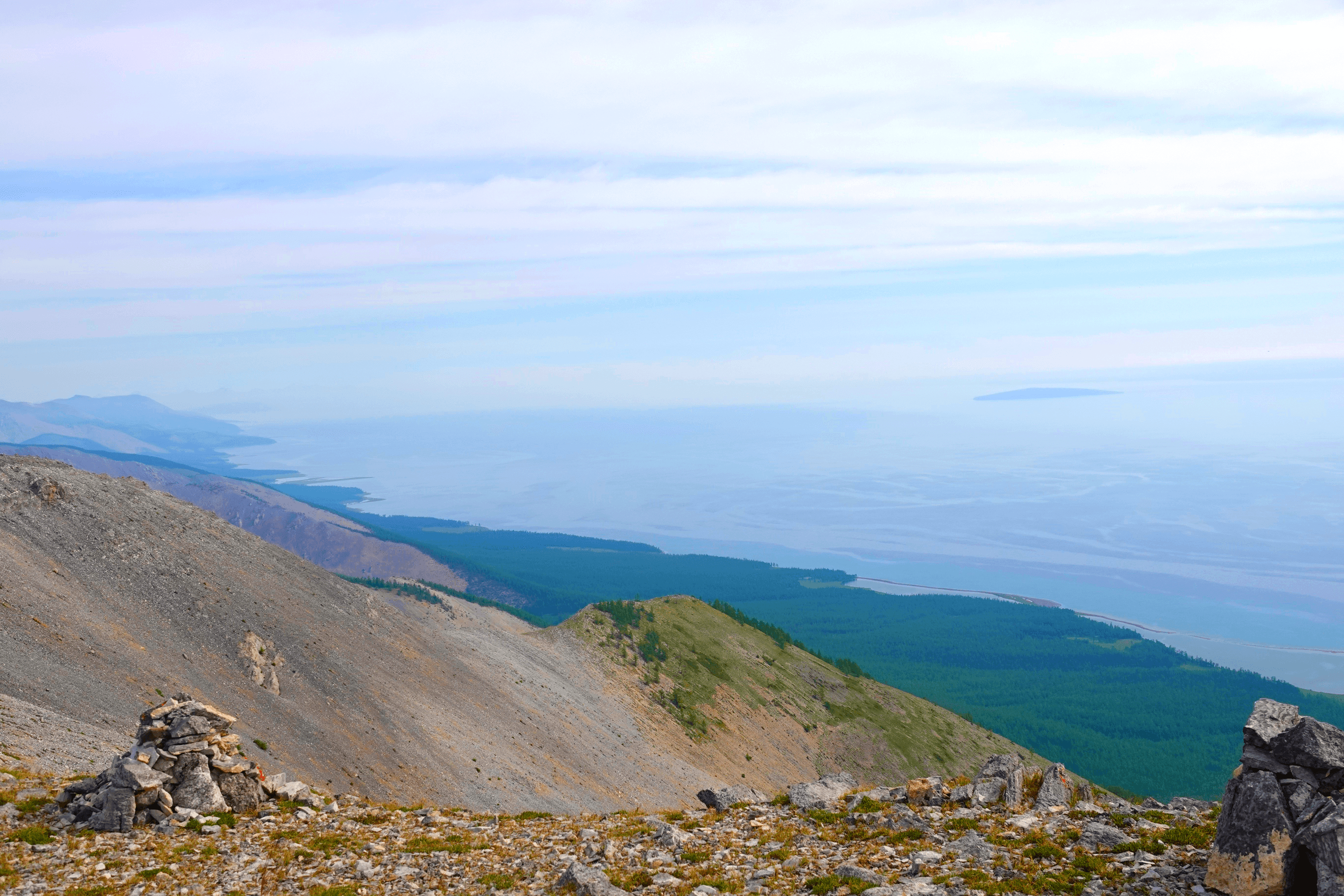 Close-up of vibrant purple flowers with droplets of water, creating a rich, textured background.