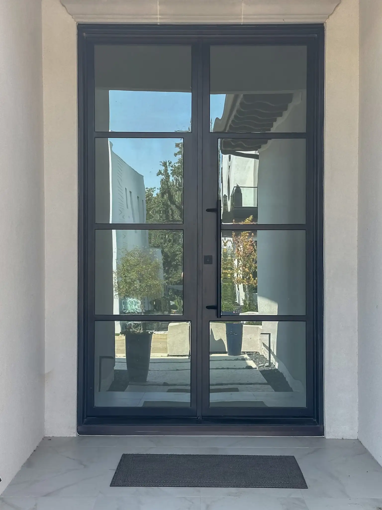 4 lite low profile double doors on a DFW home